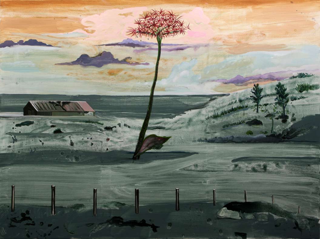 gttsch2007-2013_bloedlelie_2344_lr