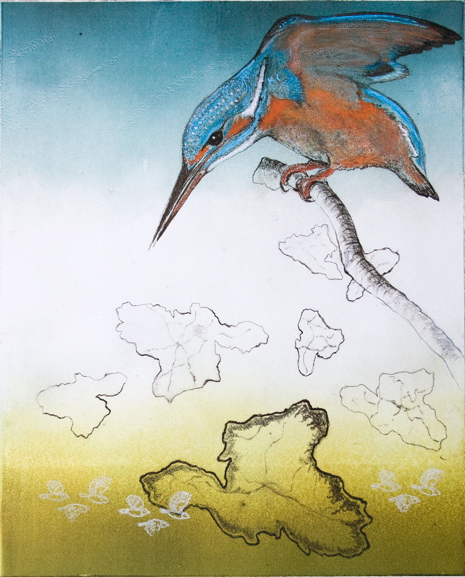 GTT2010_IjvogelbovenGroteRivieren_IMG_3097_DEFINITIEF_LR