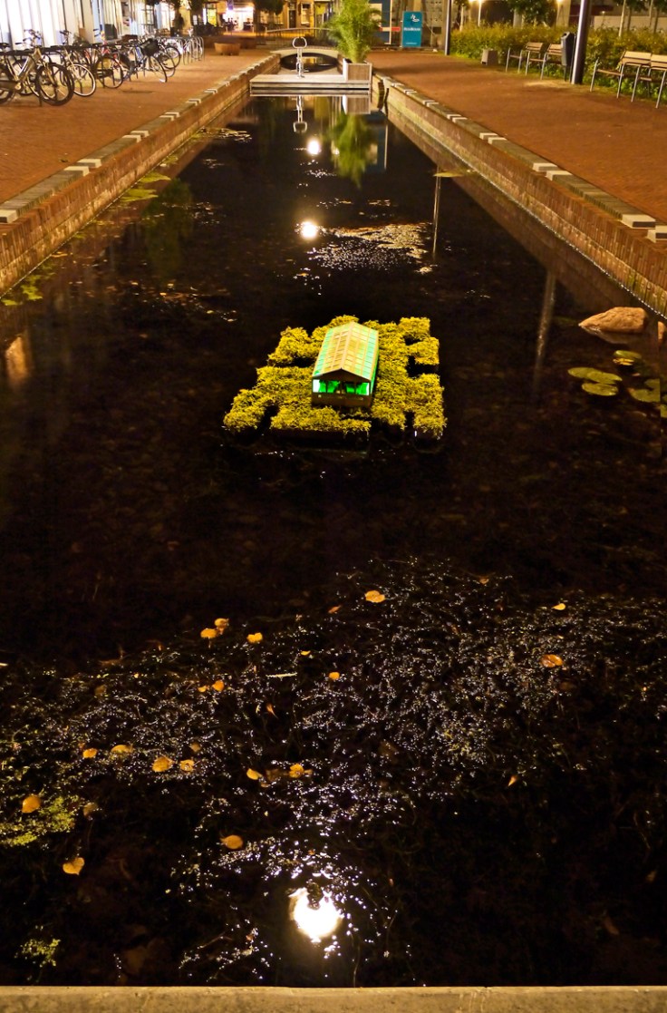 GTT2019_BG_1220247_CCC_LR