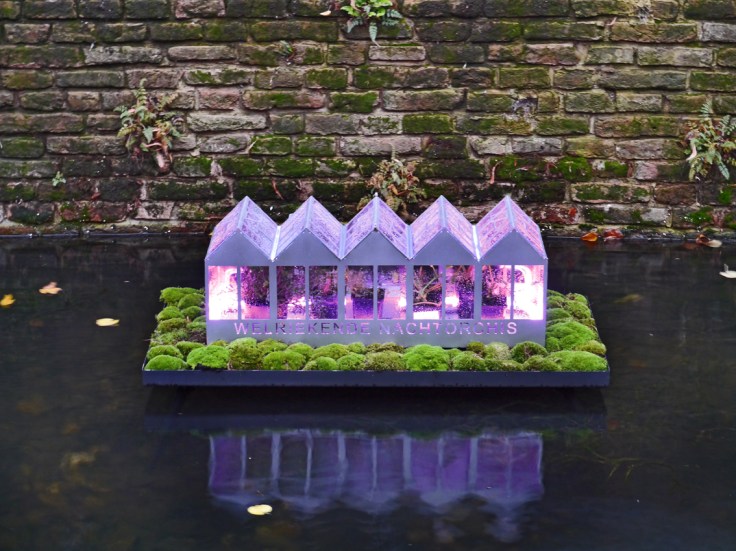 GTT2019_BG_P1220463_AAA_LR