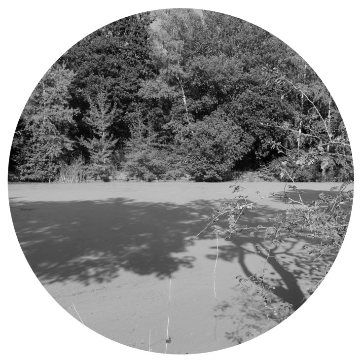 GTT2018_P1120187_DDD_222_LR