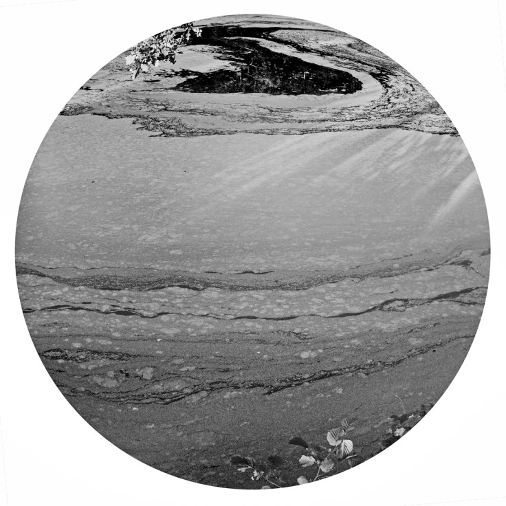 GTT2018_P1130035_BBB_555_LR