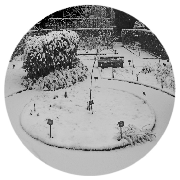 GTT2019_P1170631_CCC_LR